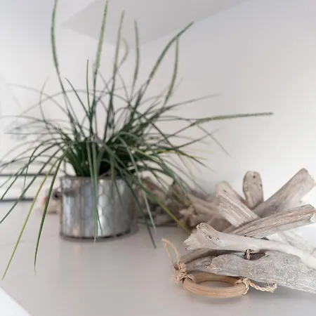 Seepferdchen Wulkje * سيركسدورف