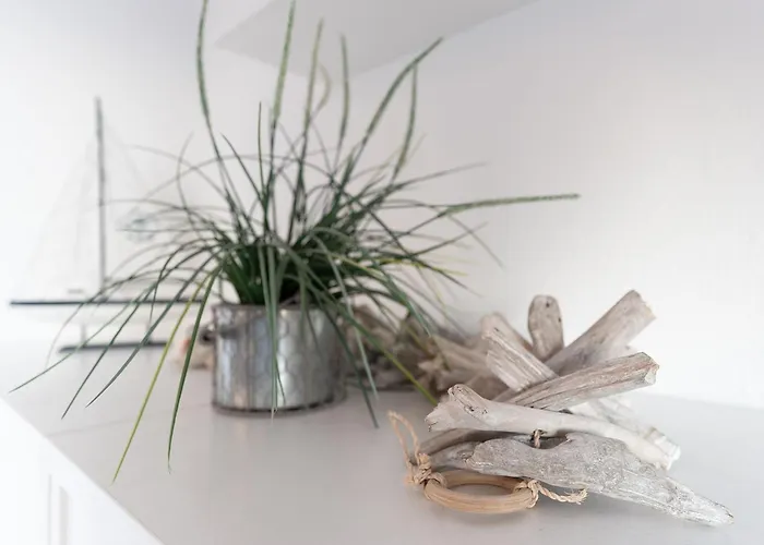 Seepferdchen Wulkje * 希尔克道夫