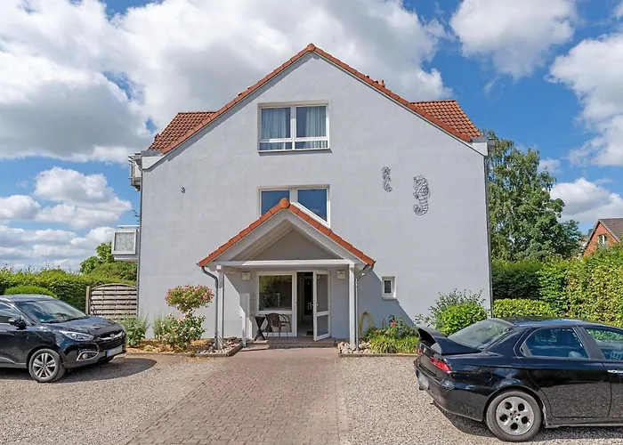 Seepferdchen Wulkje 希尔克道夫